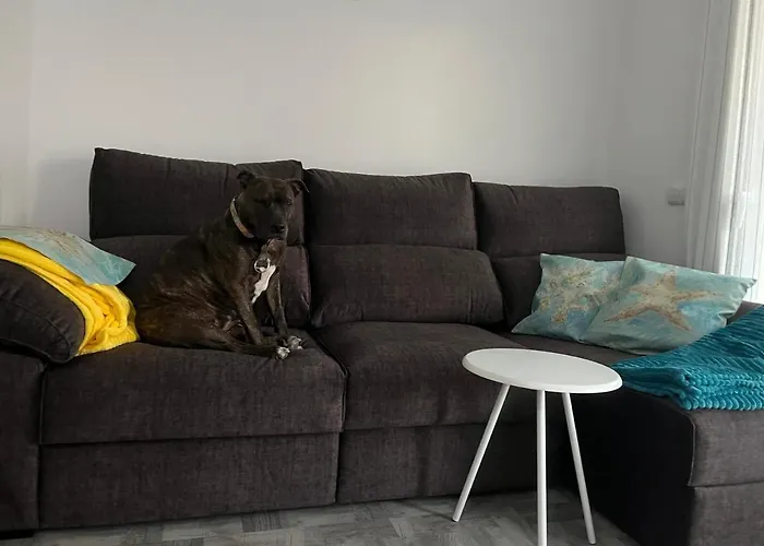 Apartamento Piso Rita